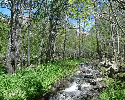 066 Ruisseau forestier.